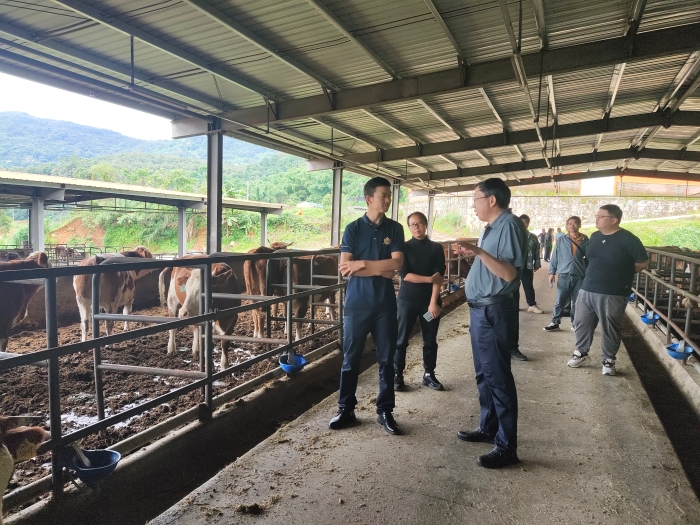 图1  特派队队长刘建勇研究员与肉牛养殖场技术人员交流